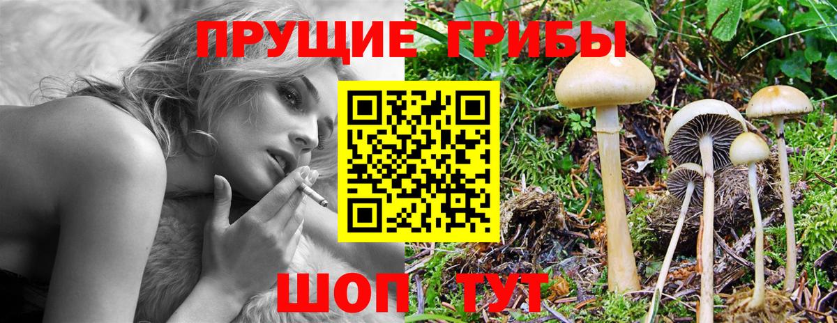 Псилоцибиновые грибы прущие грибы  дарнет шоп  Стрежевой  Псилоцибиновые грибы Psilocybine cubensis  Вход с VPN 